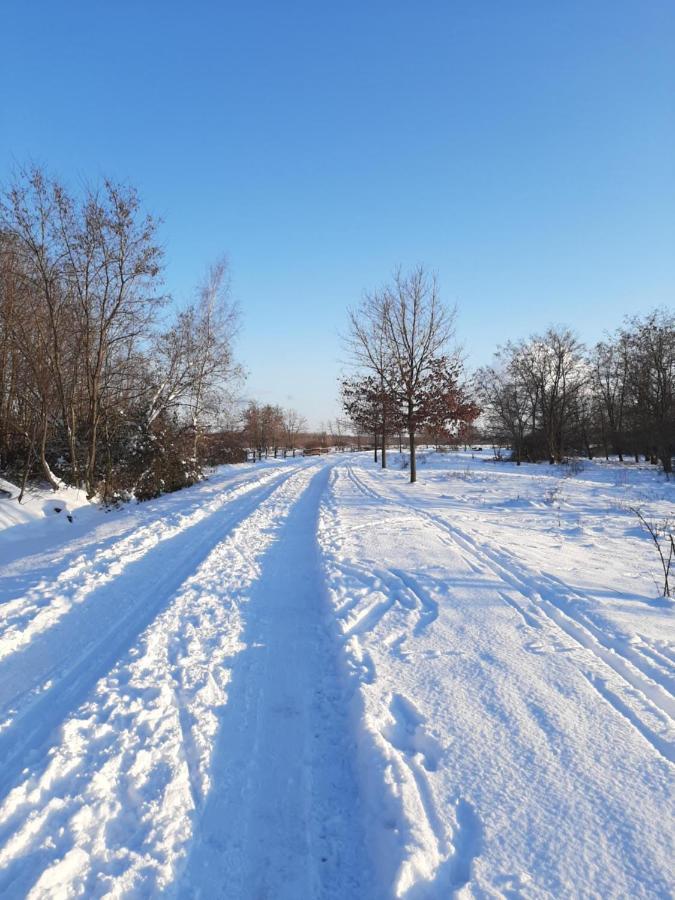 Leipziger Neuseenland Apartment Марклеберг Екстериор снимка